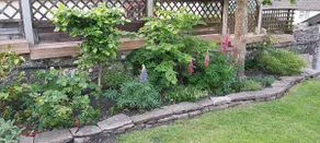 A charming cottage with mountain & woodland views - Image 5