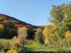 A charming cottage with mountain & woodland views - Image 3
