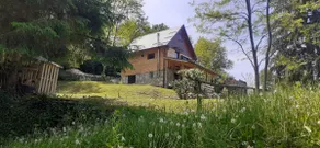 House by the river ”Green butterfly” - Image 3