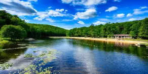 Rustic Lodge near Black Moshannon & Penn State - Image 5