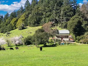 Historic gem w/ valley views and hot tub, pets OK! - Image 4