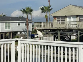 Affordable Waterside Vacation Home Rental - Image 4