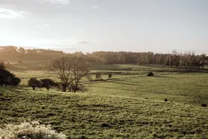The Stockman's @ Mayura Farm - Image 4