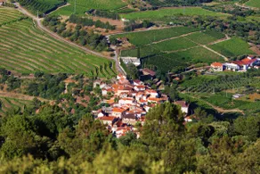 BABhouse Casa da Mata - Heart of Douro - Image 2