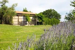 Il Poggio Dell'Artilla - Image 2