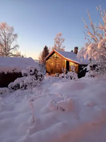 Cozy old log cabin - Image 3