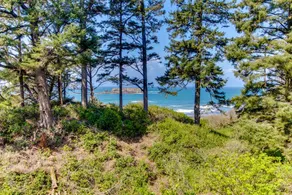 THE RED HOUSE - cozy, private, ocean view, hot tub - Image 4