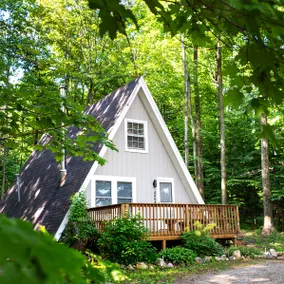 Cozy Aframe on Tunnel of Trees Harbor Springs - Image 2
