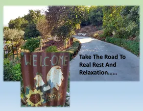 The Great Escape On 3 Acre Retreat - Image 3
