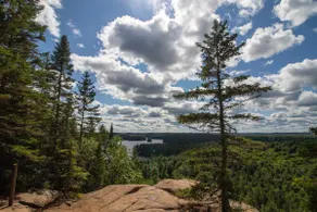 ✔South Algonquin✔Cottage✔Families✔Couples - Image 2