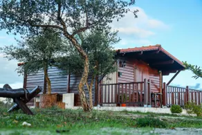 Bungalow da Beira - Retreat in Serra da Estrela - Image 5