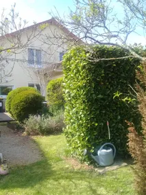 The house of happiness - Image 4
