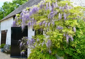 The Stable Loft, Oxfordshire - Image 2