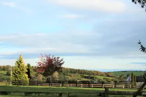 Period Country House Set Within Equestrian Centre - Image 2