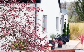 Pen-Y-Worlod Cottages - Image 2