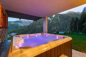 Authentic Swiss Spa Chalet Nesoya Jacuzzi Sauna - Image 2