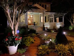 Beautiful Victorian & Porches Historic Cambridge - Image 5