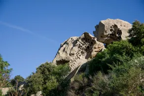 Janna Bentosa - Image 5