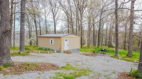 Buffalo Point rustic cabin - Image 2