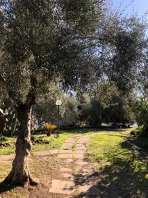 L'Ulivo Vacation Home - Image 2