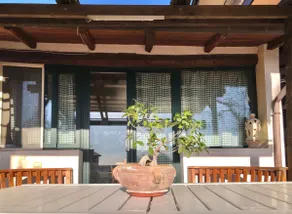 L'Ulivo Vacation Home - Image 3