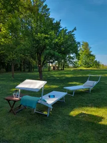 Green Lodge surrounded by the greenery of the countryside - Image 4