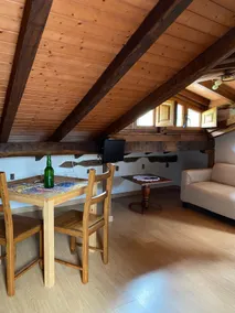 La Caviana Apartments (Attic) - Apartment III - Image 4