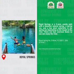 MARGARITAVILLE TOO SUWANNEE CHARLES SPRING PETS OK - Image 3