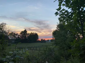 Lovely 3 Bdrm Retreat with Beautiful Backyard - Image 3
