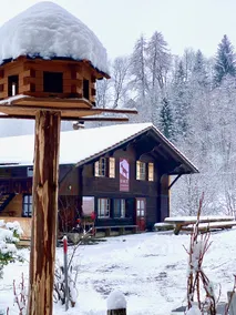 Holiday Chalet Ecolodge- group house (up to 25p) - Image 3