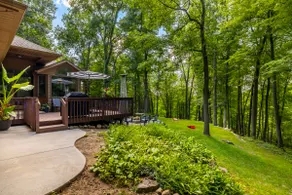 Private Treetop Escape - Image 4