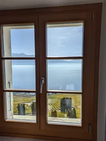 Penthouse in a vineyard #Chasselas - Image 5