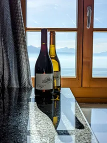 Penthouse in a vineyard #Chasselas - Image 4