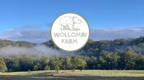 Wollombi Farm Cottage - Image 2