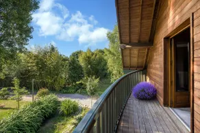 The Red Cedar - Image 3