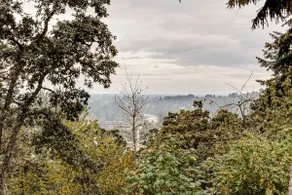 Willamette Heights Vista - Image 3