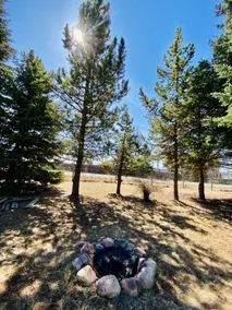 (2)ow Lake Store and Resort Cabin #2 - Image 3