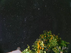Relax, nature, views of the sea and a starry sky - Image 2