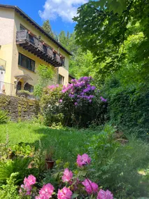 Idyllic villa by the creek with fireplace and sauna 300 m² - Image 3