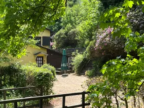 Idyllic villa by the creek with fireplace and sauna 300 m² - Image 4