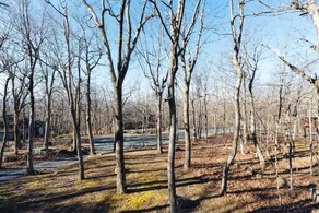 Majestic Mtn Cabin -close hiking &overlook access - Image 3