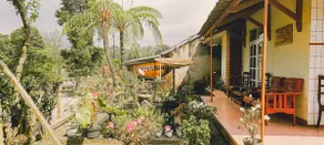 a house with a tea garden atmosphere - Image 4
