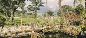 a house with a tea garden atmosphere - Image 5