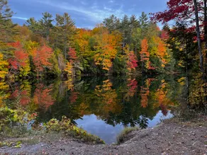 Adirondack Cozy Cabin - Image 2