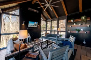 Hygge House on Lanier - the ULTIMATE lake cabin - dock, arcade, hottub, & grills - Image 3