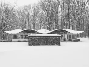”The Wave Lambertville”, iconic mid-century home - Image 4