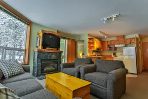 Walkout End Unit | Mountain Views | Sauna - Image 5