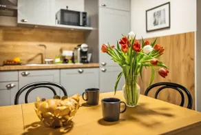 Cozy 1BRM Apartment 50sqm with Balcony near centre - Image 4