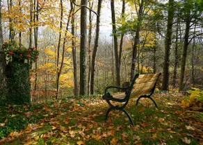 Perfect Getaway - Your Sanctuary Among Nature - Image 3