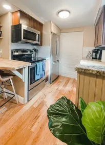 Cheeseman Park - Historic home guest house - Image 3